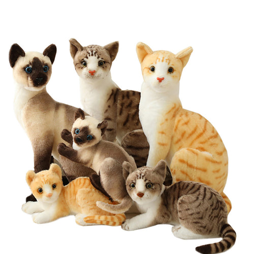 Jetzt Tolle echt aussehende Katzen Kuscheltiere in vielen Motiven bei Kuscheltiere.store kaufen