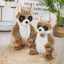 Lade das Bild in den Galerie-Viewer, Jetzt Niedliches Lemur Stofftier (24 bis 30cm) bei Kuscheltiere.store kaufen