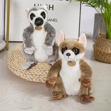 Lade das Bild in den Galerie-Viewer, Jetzt Niedliches Lemur Stofftier (24 bis 30cm) bei Kuscheltiere.store kaufen