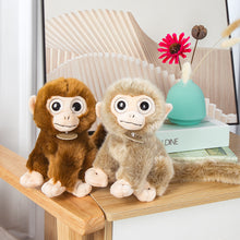 Lade das Bild in den Galerie-Viewer, Jetzt Süßer plüschiger Kuschel Affe Stofftier bei Kuscheltiere.store kaufen