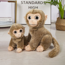 Lade das Bild in den Galerie-Viewer, Jetzt Süßer plüschiger Kuschel Affe Stofftier bei Kuscheltiere.store kaufen