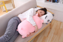 Lade das Bild in den Galerie-Viewer, Jetzt Kawaii Flauschige Katze Ferkel Panda oder Dino (20/60/85cm) bei Kuscheltiere.store kaufen