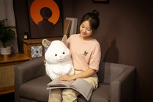 Lade das Bild in den Galerie-Viewer, Jetzt Chinchilla Plüschiges Stofftier 35cm / 45cm bei Kuscheltiere.store kaufen