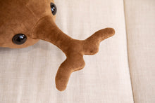 Lade das Bild in den Galerie-Viewer, Jetzt Lustiger XXL Käfer als Kuscheltier in verschiedenen Größen (50cm oder 60cm) bei Kuscheltiere.store kaufen