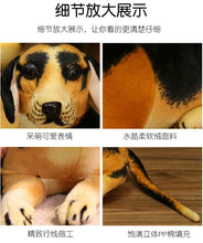 Lade das Bild in den Galerie-Viewer, Jetzt Deutscher Schäferhund Plüsch Tier (ca. 30-90cm) bei Kuscheltiere.store kaufen