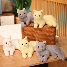 Lade das Bild in den Galerie-Viewer, Jetzt Liebliche Kätzchen Kuscheltiere (ca. 30cm) bei Kuscheltiere.store kaufen