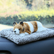 Lade das Bild in den Galerie-Viewer, Jetzt Süße Kätzchen, Hunde, Reh etc. Stofftiere Plüsch Katzen (ca. 25cm) bei Kuscheltiere.store kaufen