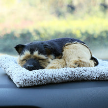 Lade das Bild in den Galerie-Viewer, Jetzt Süße Kätzchen, Hunde, Reh etc. Stofftiere Plüsch Katzen (ca. 25cm) bei Kuscheltiere.store kaufen