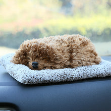 Lade das Bild in den Galerie-Viewer, Jetzt Süße Kätzchen, Hunde, Reh etc. Stofftiere Plüsch Katzen (ca. 25cm) bei Kuscheltiere.store kaufen