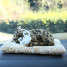 Lade das Bild in den Galerie-Viewer, Jetzt Süße Kätzchen, Hunde, Reh etc. Stofftiere Plüsch Katzen (ca. 25cm) bei Kuscheltiere.store kaufen