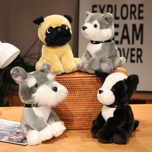 Lade das Bild in den Galerie-Viewer, Jetzt Niedliche Hunde Husky u. a. Kuscheltiere (20cm oder 25cm) bei Kuscheltiere.store kaufen
