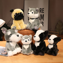 Lade das Bild in den Galerie-Viewer, Jetzt Niedliche Hunde Husky u. a. Kuscheltiere (20cm oder 25cm) bei Kuscheltiere.store kaufen