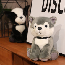 Lade das Bild in den Galerie-Viewer, Jetzt Niedliche Hunde Husky u. a. Kuscheltiere (20cm oder 25cm) bei Kuscheltiere.store kaufen