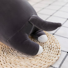 Lade das Bild in den Galerie-Viewer, Jetzt Witzige Husky Stofftiere im Langformat und Comic Aussehen (ca. 70cm bis 150cm) bei Kuscheltiere.store kaufen