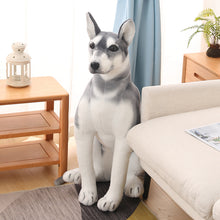 Lade das Bild in den Galerie-Viewer, Jetzt Tolle Husky Kuscheltiere ca. 30cm bis 90cm bei Kuscheltiere.store kaufen