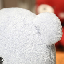 Lade das Bild in den Galerie-Viewer, Jetzt Süßer Teddybär mit Schal in verschiedenen Farben (ca. 60cm) bei Kuscheltiere.store kaufen