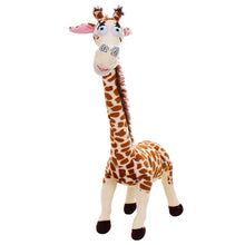 Lade das Bild in den Galerie-Viewer, Jetzt Giraffe Stofftier mit langen Hals Madagascar Plüschie (ca. 35cm) bei Kuscheltiere.store kaufen