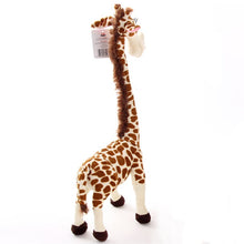 Lade das Bild in den Galerie-Viewer, Jetzt Giraffe Stofftier mit langen Hals Madagascar Plüschie (ca. 35cm) bei Kuscheltiere.store kaufen