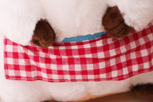 Lade das Bild in den Galerie-Viewer, Jetzt Otter Plüschtier (30cm / 40cm) bei Kuscheltiere.store kaufen