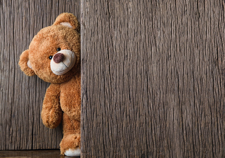 Teddybären: Zeitlose Freunde für Jung und Alt