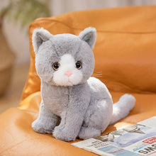 Lade das Bild in den Galerie-Viewer, Niedliche Katzenbabys Kuscheltiere
