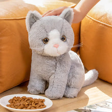 Lade das Bild in den Galerie-Viewer, Niedliche Katzenbabys Kuscheltiere
