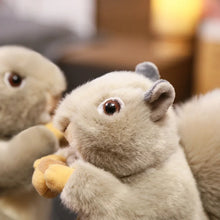 Lade das Bild in den Galerie-Viewer, Niedliches Eichhörnchen mit Nüssen Stofftier (ca. 20cm)
