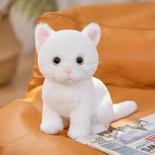 Lade das Bild in den Galerie-Viewer, Niedliche Katzenbabys Kuscheltiere
