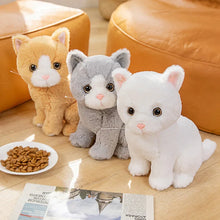 Lade das Bild in den Galerie-Viewer, Niedliche Katzenbabys Kuscheltiere
