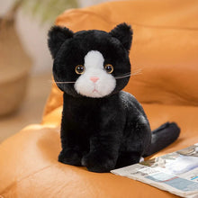 Lade das Bild in den Galerie-Viewer, Niedliche Katzenbabys Kuscheltiere
