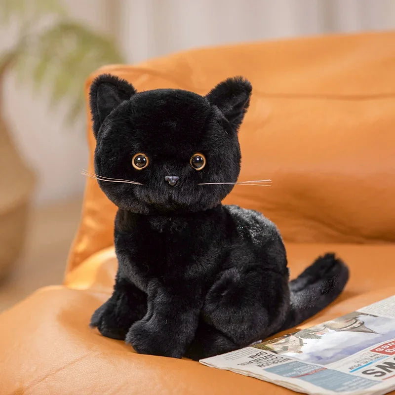 Niedliche Katzenbabys Kuscheltiere