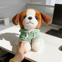 Lade das Bild in den Galerie-Viewer, Niedliche Plüschhunde mit Pullover Plüschtier  (ca. 18/25cm)
