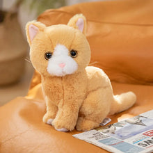 Lade das Bild in den Galerie-Viewer, Niedliche Katzenbabys Kuscheltiere

