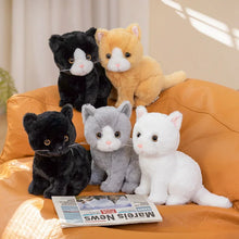 Lade das Bild in den Galerie-Viewer, Niedliche Katzenbabys Kuscheltiere
