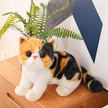 Lade das Bild in den Galerie-Viewer, Jetzt Kuscheltier Katze Kätzchen ca. 25cm, lebensecht bei Kuscheltiere.store kaufen
