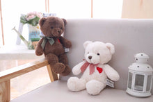 Lade das Bild in den Galerie-Viewer, Jetzt Liebliche Teddy Bären Kuscheltiere (35cm / 50cm) bei Kuscheltiere.store kaufen
