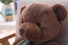 Lade das Bild in den Galerie-Viewer, Jetzt Liebliche Teddy Bären Kuscheltiere (35cm / 50cm) bei Kuscheltiere.store kaufen
