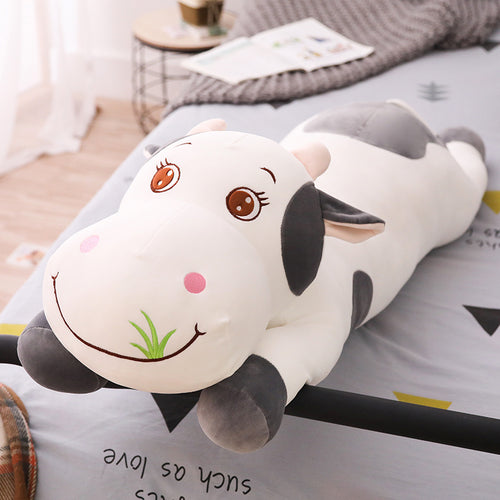 Jetzt Lustige Riesengroße Kuh Stofftiere (bis zum 110cm) bei Kuscheltiere.store kaufen