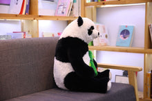 Lade das Bild in den Galerie-Viewer, Jetzt Großer (ca. 50cm) Panda als Kuscheltier bei Kuscheltiere.store kaufen

