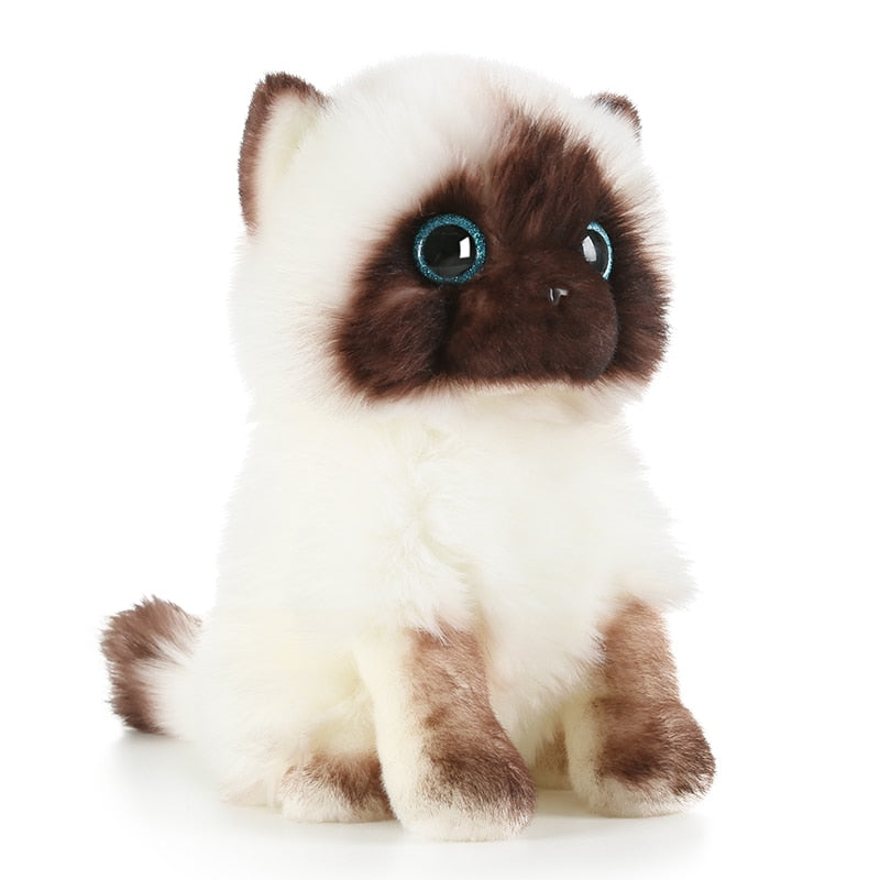 Kuscheltier Katzenpärchen Mia & Pia – 27 Cm, Aus Polyester, Waschbar Bei 30°C, Für Kinder & Erwachsene