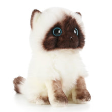 Lade das Bild in den Galerie-Viewer, Jetzt Siamesische Katze Stofftier - Süßes Kätzchen Kuscheltiere bei Kuscheltiere.store kaufen
