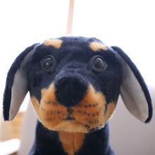 Lade das Bild in den Galerie-Viewer, Jetzt Rottweiler Stofftier Hund bei Kuscheltiere.store kaufen

