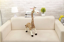 Lade das Bild in den Galerie-Viewer, Jetzt Giraffe Stofftier mit langen Hals Madagascar Plüschie (ca. 35cm) bei Kuscheltiere.store kaufen
