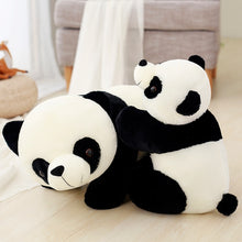 Lade das Bild in den Galerie-Viewer, Jetzt Lieblicher Kawaii Baby Panda Bär Stofftier (30cm oder 50cm) bei Kuscheltiere.store kaufen
