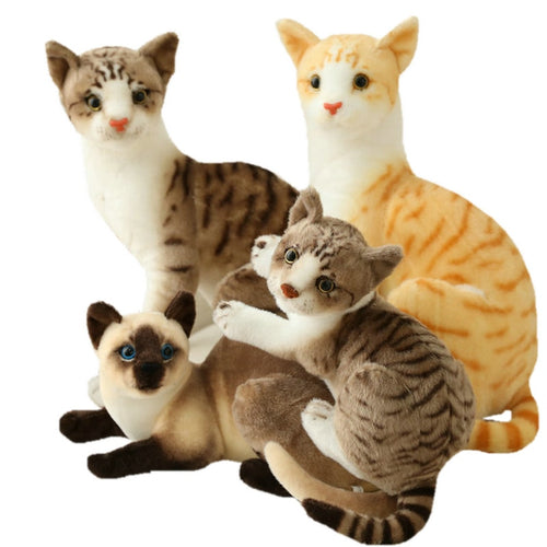 Jetzt Siam Katze Plüsch Kuscheltier im Lebensechten Look bei Kuscheltiere.store kaufen