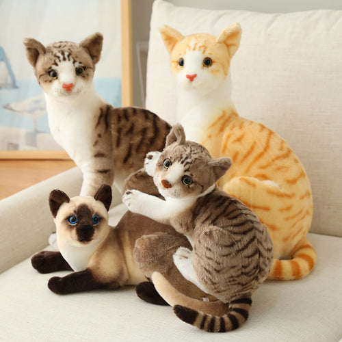 Jetzt Echt aussehende Kuscheltier Katzen 20 bis 45cm bei Kuscheltiere.store kaufen