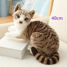 Lade das Bild in den Galerie-Viewer, Jetzt Echt aussehende Kuscheltier Katzen 20 bis 45cm bei Kuscheltiere.store kaufen

